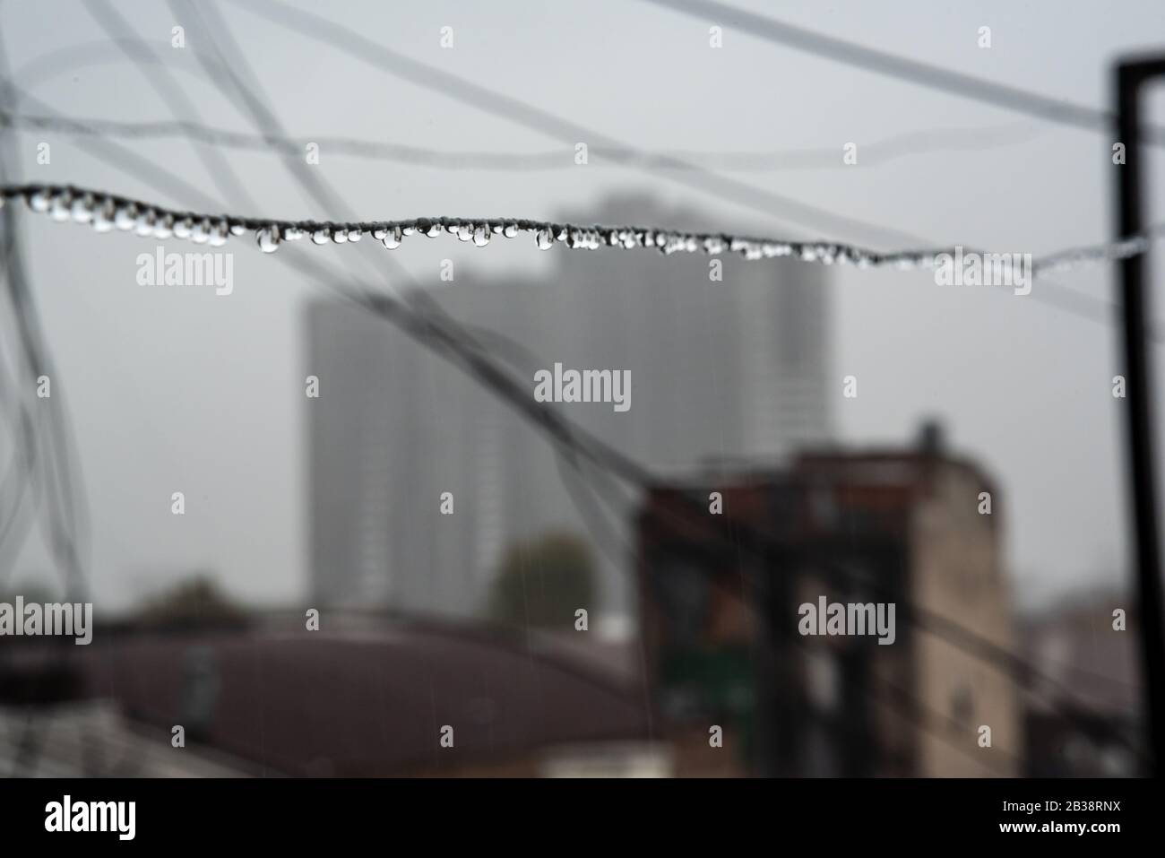 Cavo Clothesline pieno di piccole gocce in una giornata di pioggia con un fuoco selettivo su di loro e profondità di campo molto poco profonda con uno sfondo sfocato Foto Stock