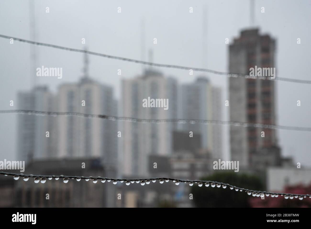 Cavo Clothesline pieno di piccole gocce in una giornata di pioggia con un fuoco selettivo su di loro e profondità di campo molto poco profonda con uno sfondo sfocato Foto Stock
