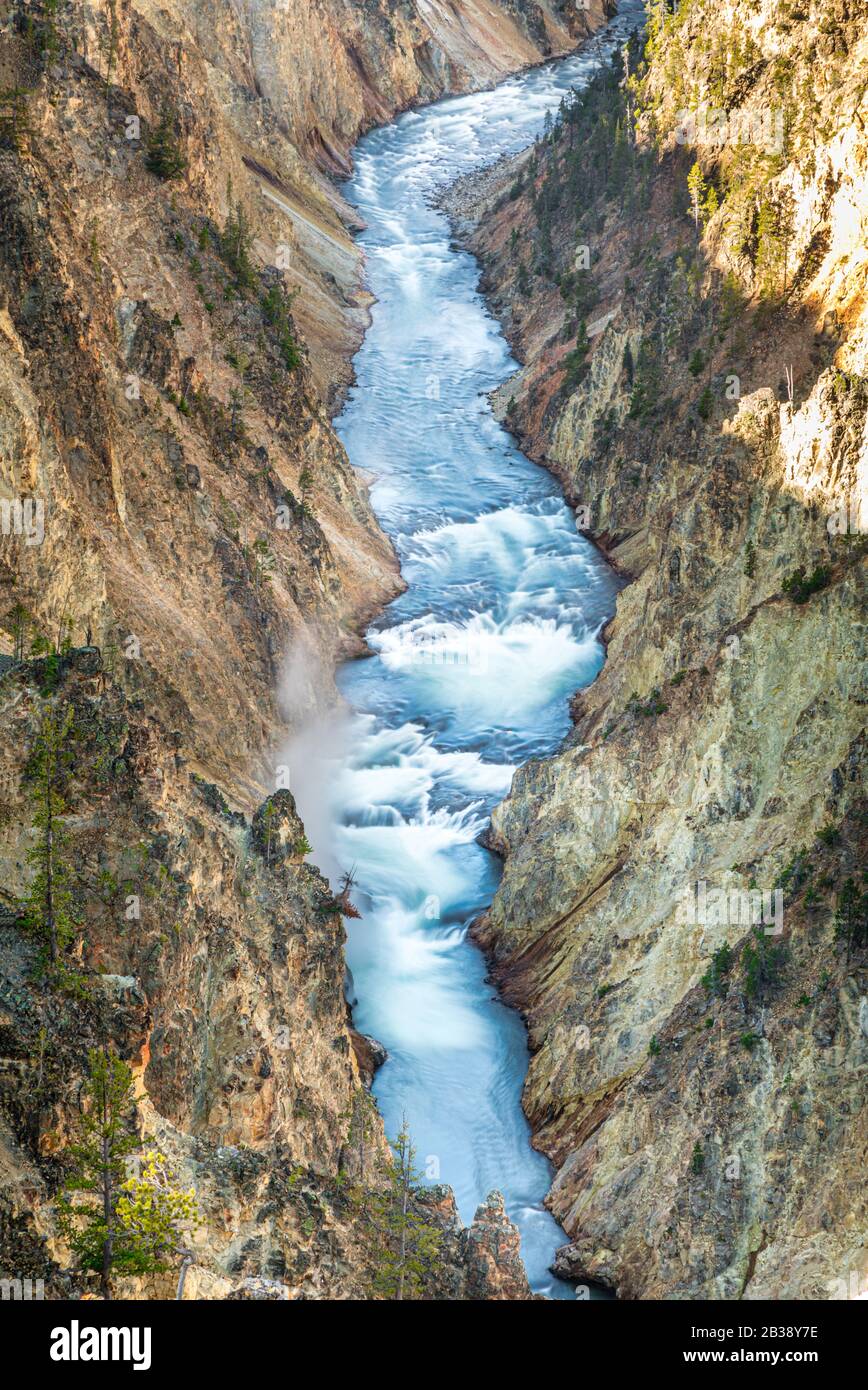 Gola del fiume Yellowstone Foto Stock