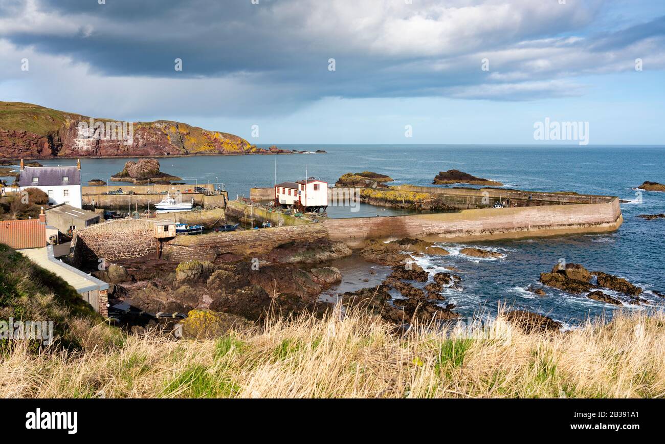 Vista di un piccolo villaggio di pescatori e del porto di St Abbs sulla costa del Mare del Nord ai Confini scozzesi, Scozia, Regno Unito Foto Stock