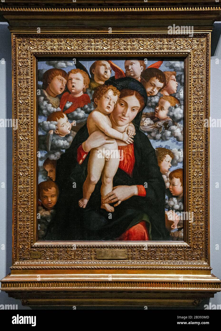 Andrea Mantegna - Madonna col Bambino e Coro Cherubini Foto Stock