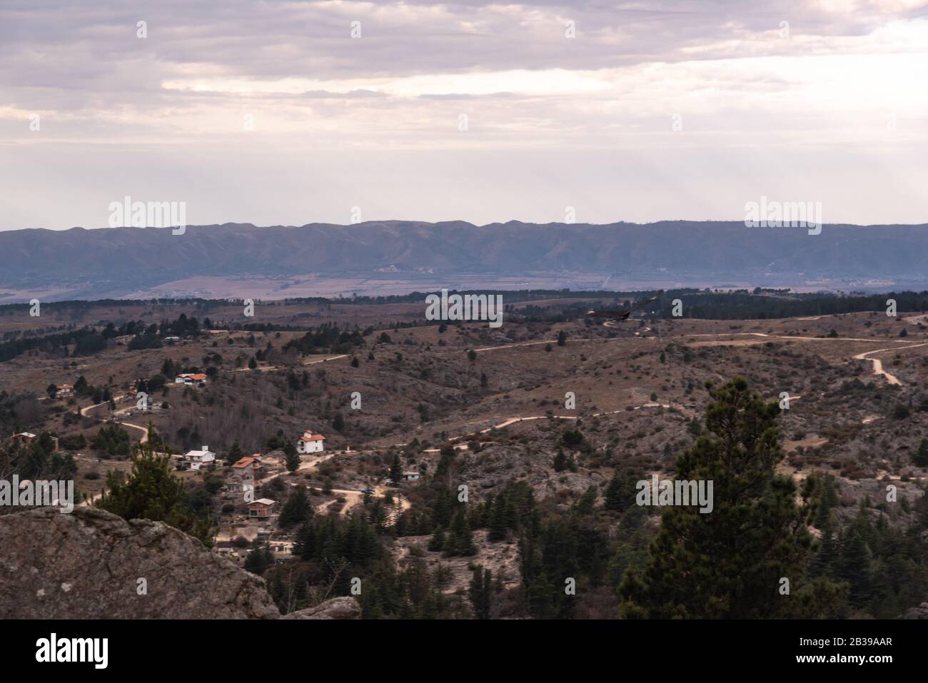 Avvoltoio nero, buzzardo o cote nere che volano su una valle con una catena montuosa sul retro Foto Stock