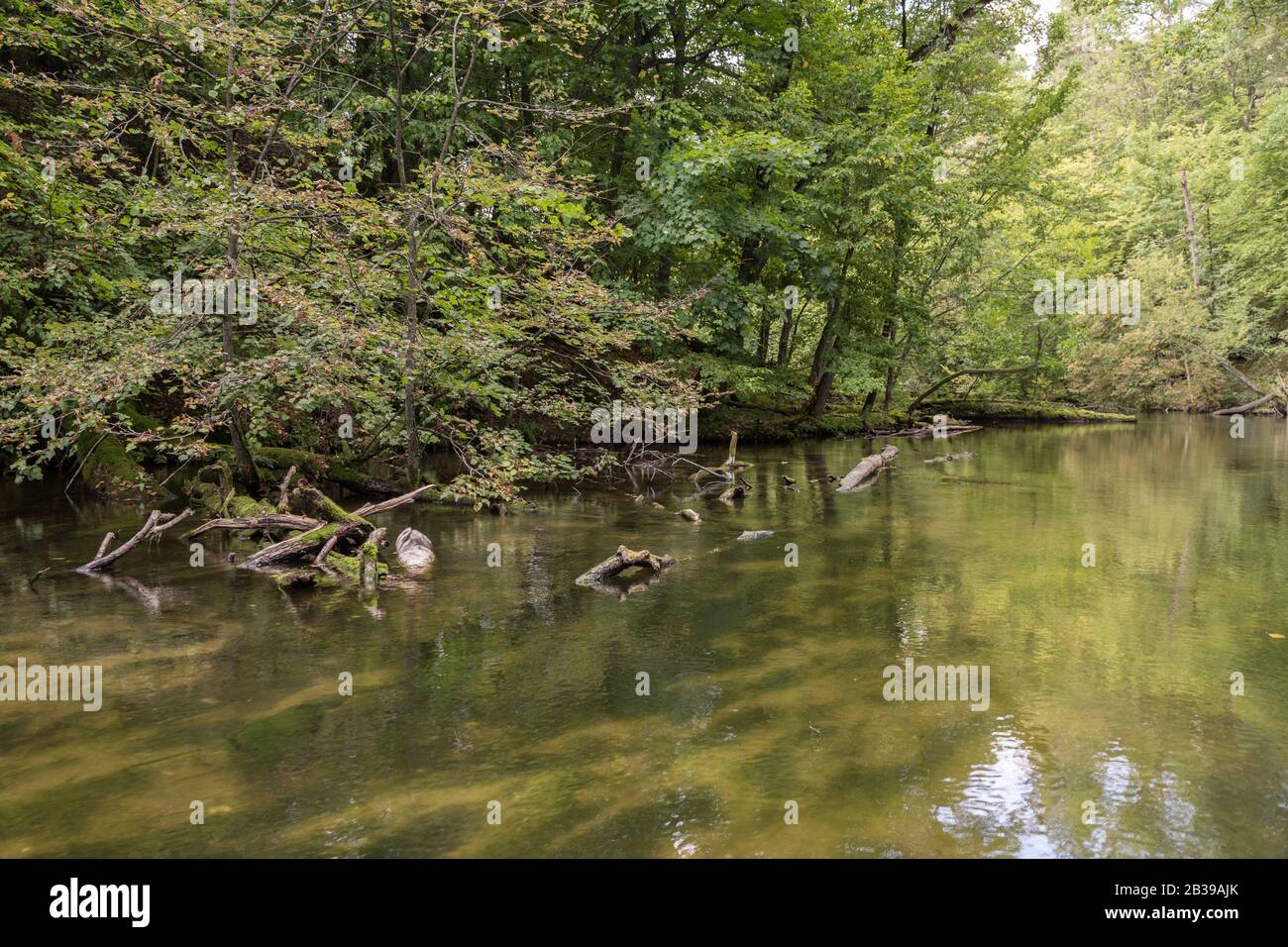 Krutynia - rafting sul fiume Krutynia Foto Stock