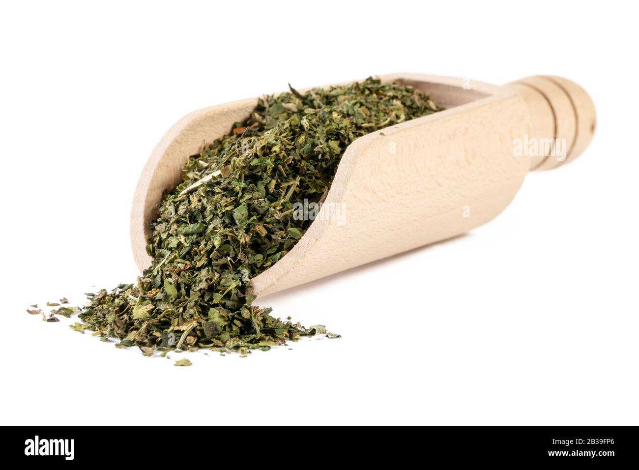 Erba ortica secca o in latino Utricae folium in paletta di legno isolato su sfondo bianco. Erbe curative medicinali. Medicina a base di erbe. Medic alternativo Foto Stock