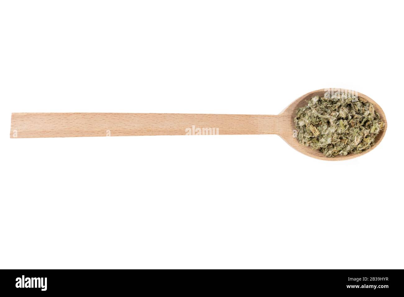 Foglie di carciofo essiccate o in latino Cynarae folium in cucchiaio di legno isolato su sfondo bianco. Erbe curative medicinali. Medicina a base di erbe. Alternativa Foto Stock