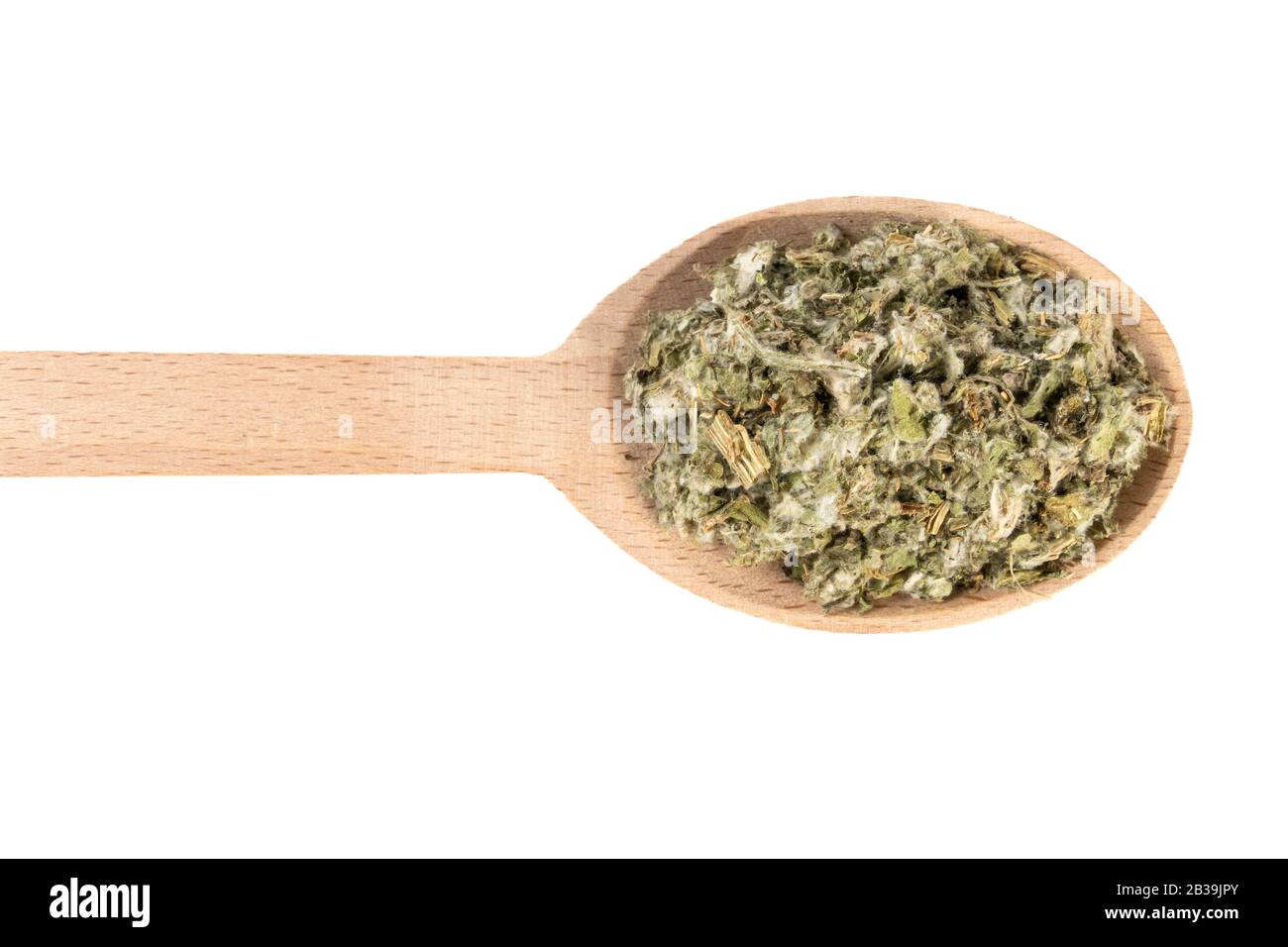 Foglie di carciofo essiccate o in latino Cynarae folium in cucchiaio di legno isolato su sfondo bianco. Erbe curative medicinali. Medicina a base di erbe. Alternativa Foto Stock