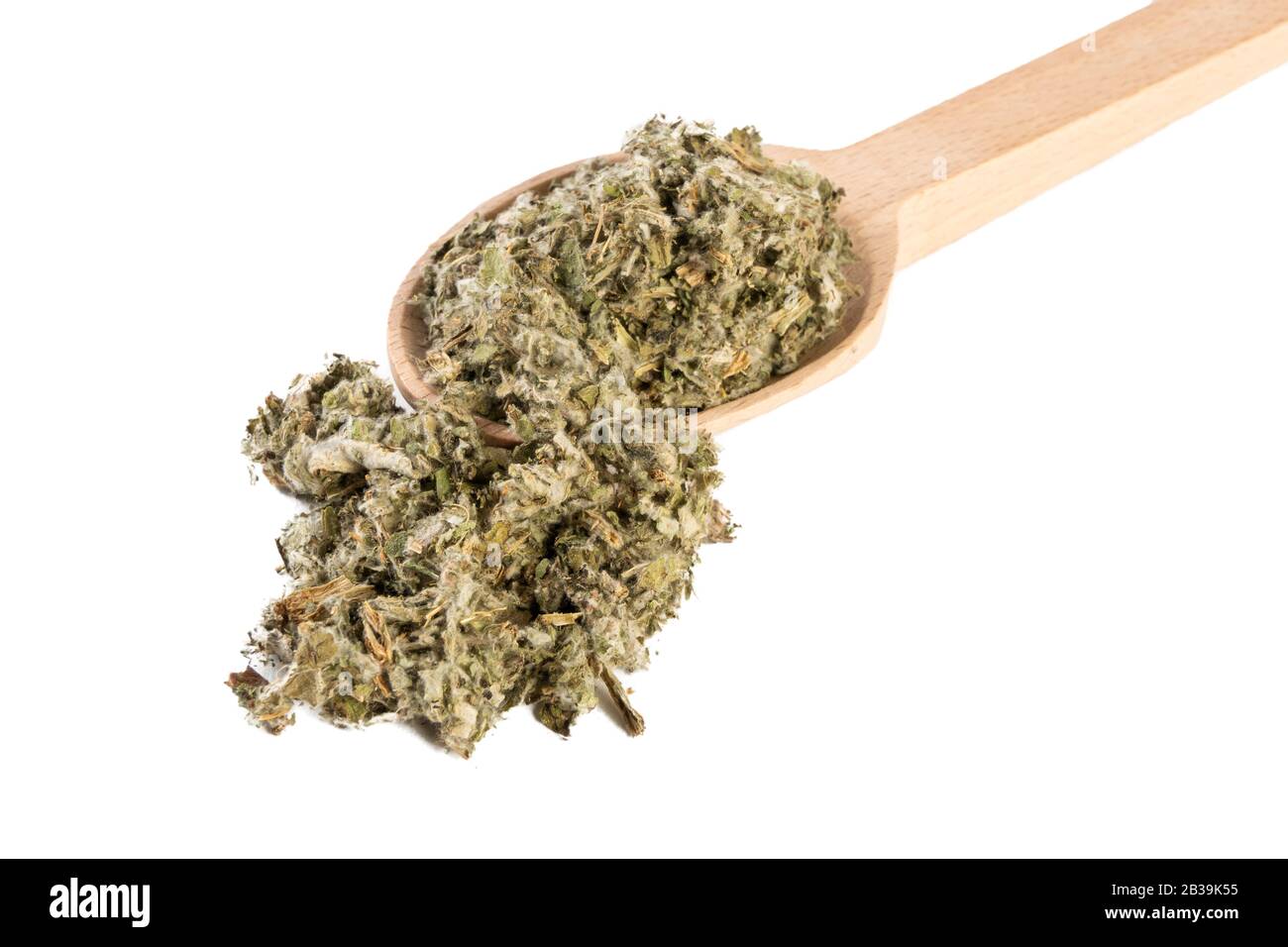 Foglie di carciofo essiccate o in latino Cynarae folium in cucchiaio di legno isolato su sfondo bianco. Erbe curative medicinali. Medicina a base di erbe. Alternativa Foto Stock