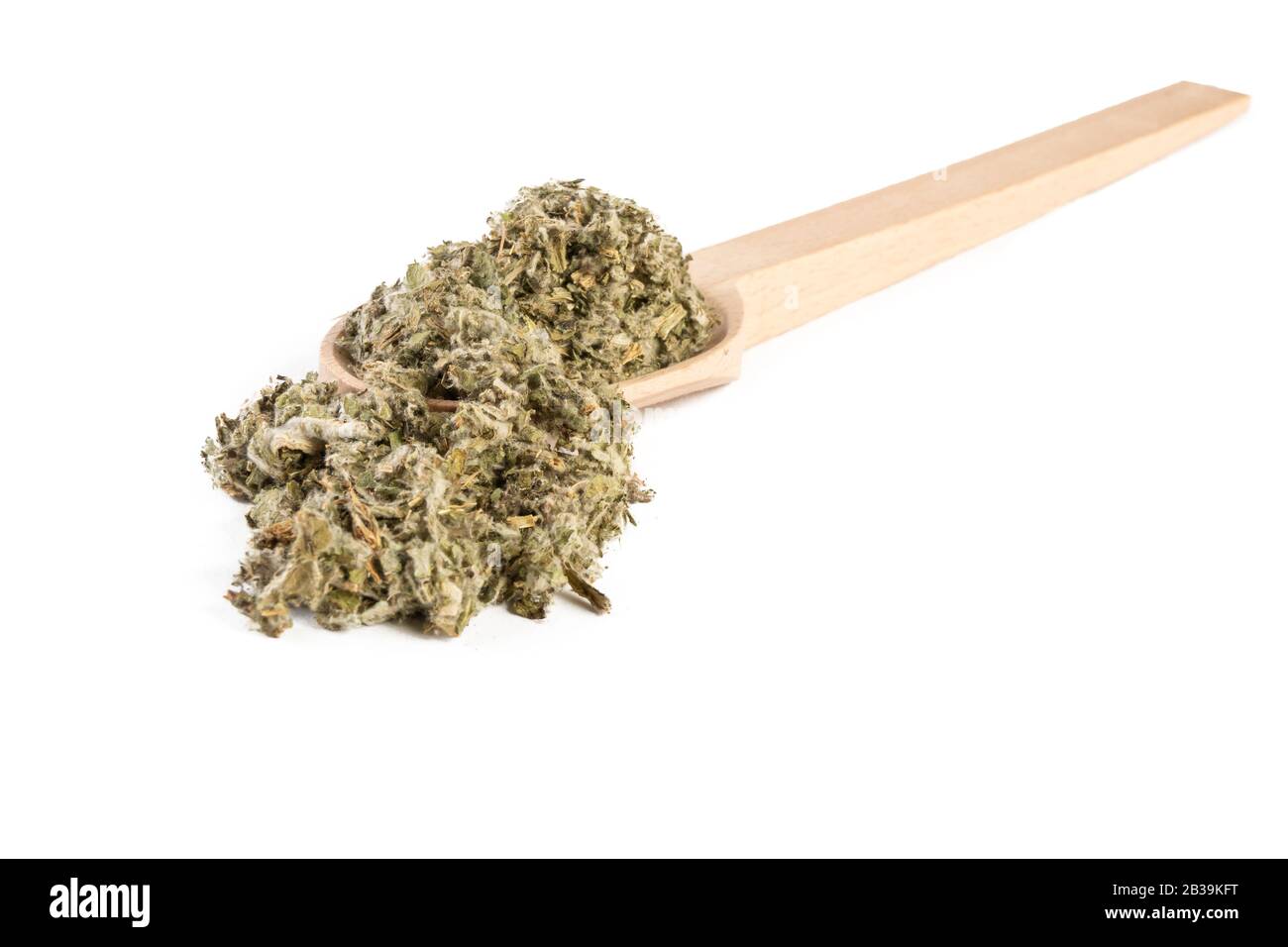 Foglie di carciofo essiccate o in latino Cynarae folium in cucchiaio di legno isolato su sfondo bianco. Erbe curative medicinali. Medicina a base di erbe. Alternativa Foto Stock