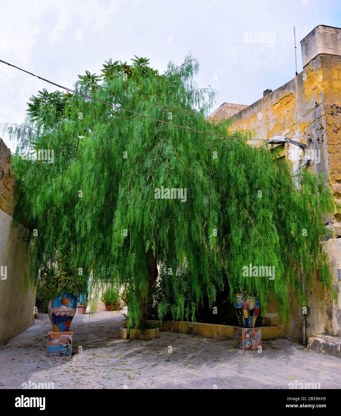 Il centro storico di Mazara del vallo Sicilia Italia Foto Stock