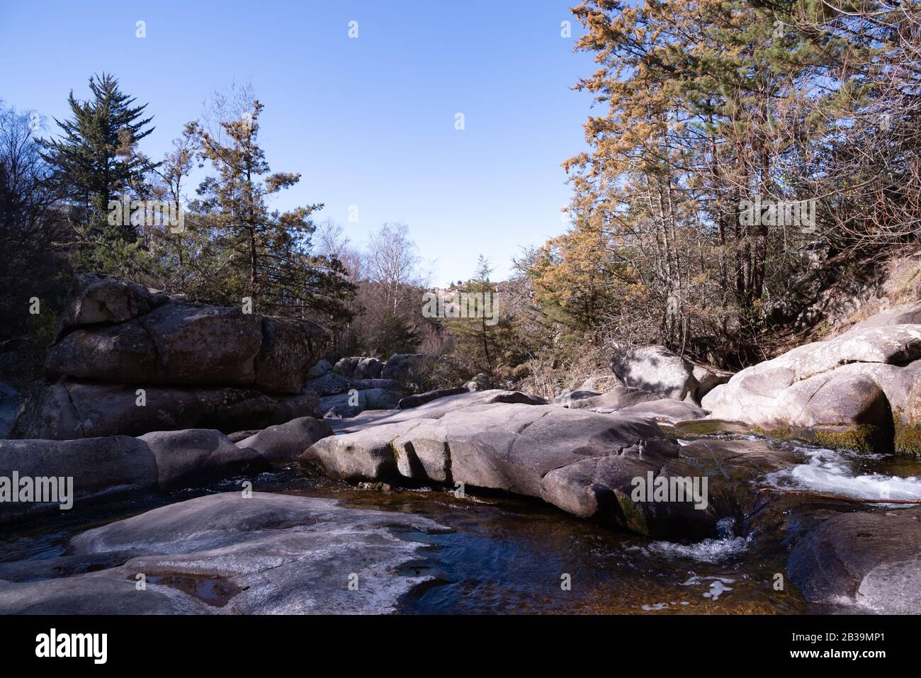 Vista su un fiume pieno di rocce e circondato da alberi Foto Stock