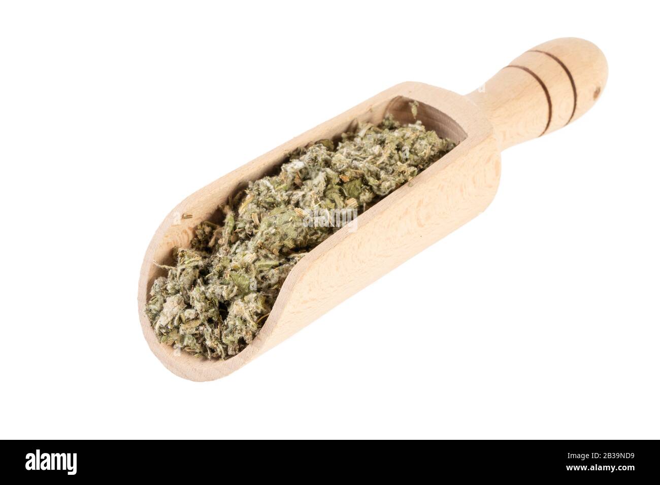 Foglie di carciofo essiccate o in latino Cynarae folium in paletta di legno isolato su sfondo bianco. Erbe curative medicinali. Medicina a base di erbe. Alternativa Foto Stock
