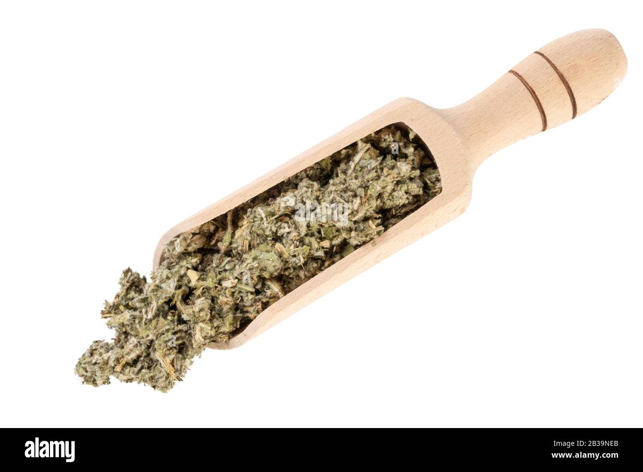 Foglie di carciofo essiccate o in latino Cynarae folium in paletta di legno isolato su sfondo bianco. Erbe curative medicinali. Medicina a base di erbe. Alternativa Foto Stock