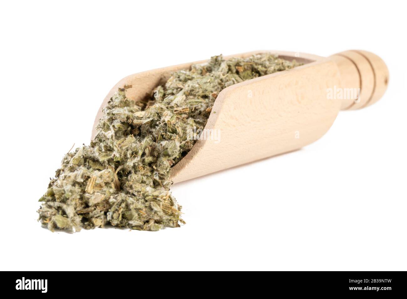 Foglie di carciofo essiccate o in latino Cynarae folium in paletta di legno isolato su sfondo bianco. Erbe curative medicinali. Medicina a base di erbe. Alternativa Foto Stock