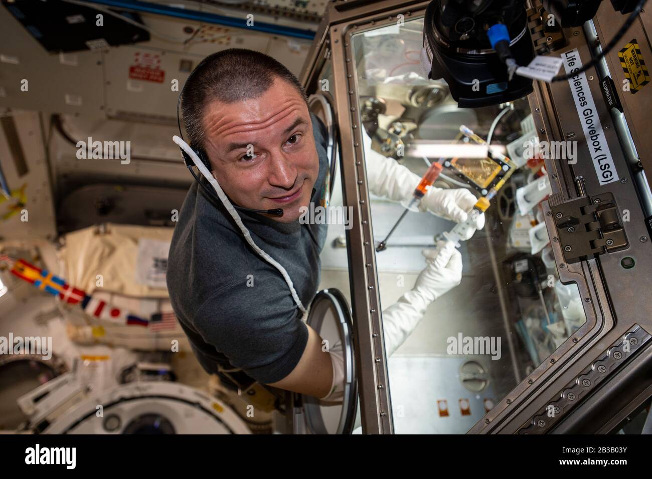 ISS - 21 Feb 2020 - astronauta della NASA e Expedition 62 l'ingegnere di volo Andrew Morgan conduce le attività di ricerca all'interno Del Cassetto Portaoggetti di Life Sciences, una f Foto Stock