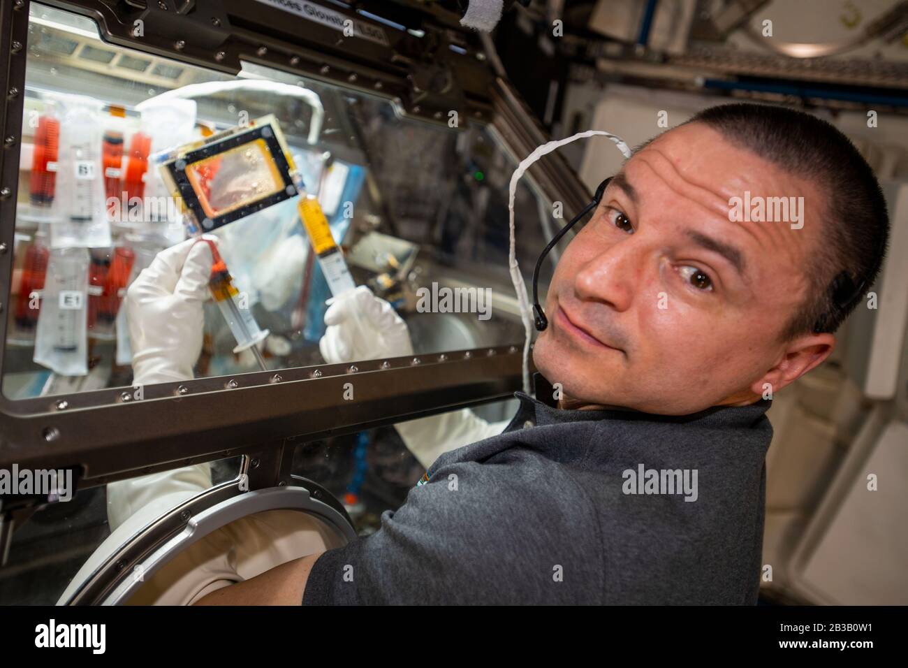 ISS - 21 Feb 2020 - astronauta della NASA e Expedition 62 l'ingegnere di volo Andrew Morgan conduce le attività di ricerca all'interno Del Cassetto Portaoggetti di Life Sciences, una f Foto Stock