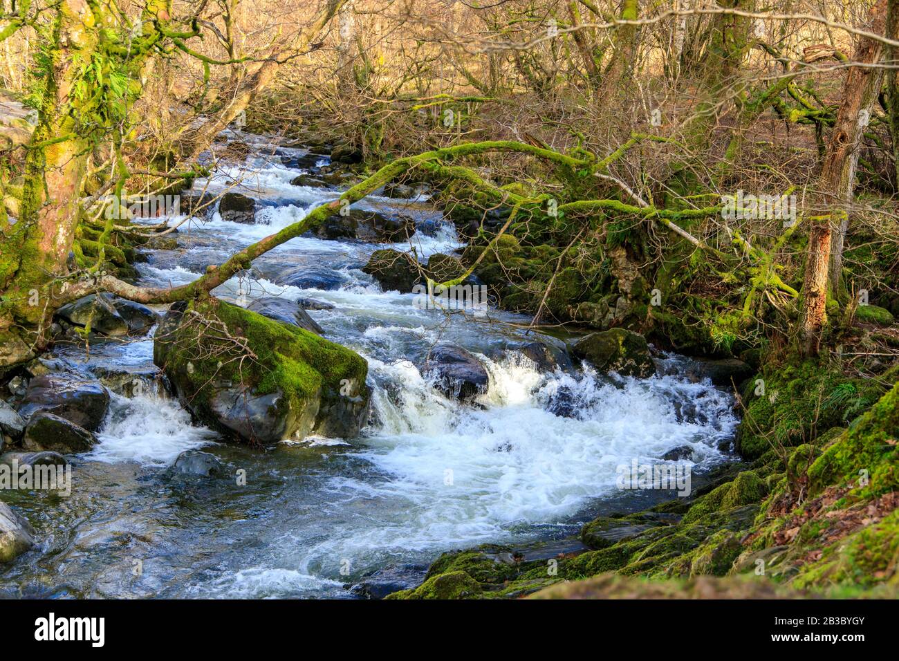 Cascata aria Force, ullswater , Lake District Foto Stock