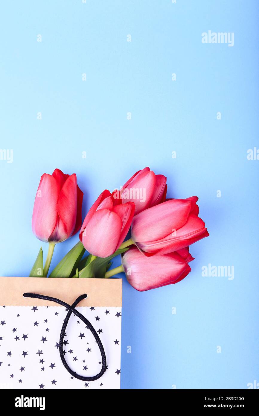 Mazzo di fiori di tulipano primaverile in sacchetto di carta su sfondo blu. Sfondo del giorno di Pasqua. 8 Marzo, Giornata Internazionale Delle Donne, Compleanno, San Valentino O M. Foto Stock