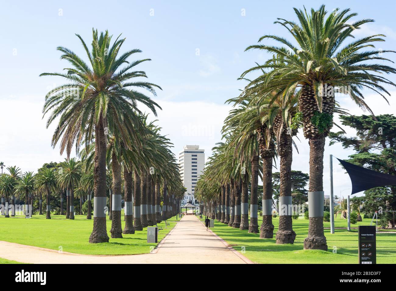 Viale delle palme nei Catani Gardens, St Kilda, Melbourne, Victoria, Australia Foto Stock