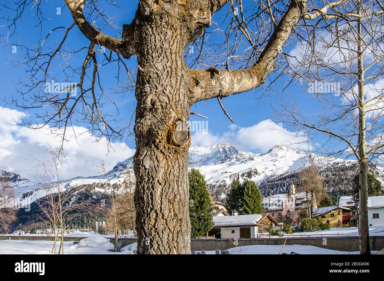 Godetevi una vacanza invernale a Sils/Segl im Engadin Foto Stock