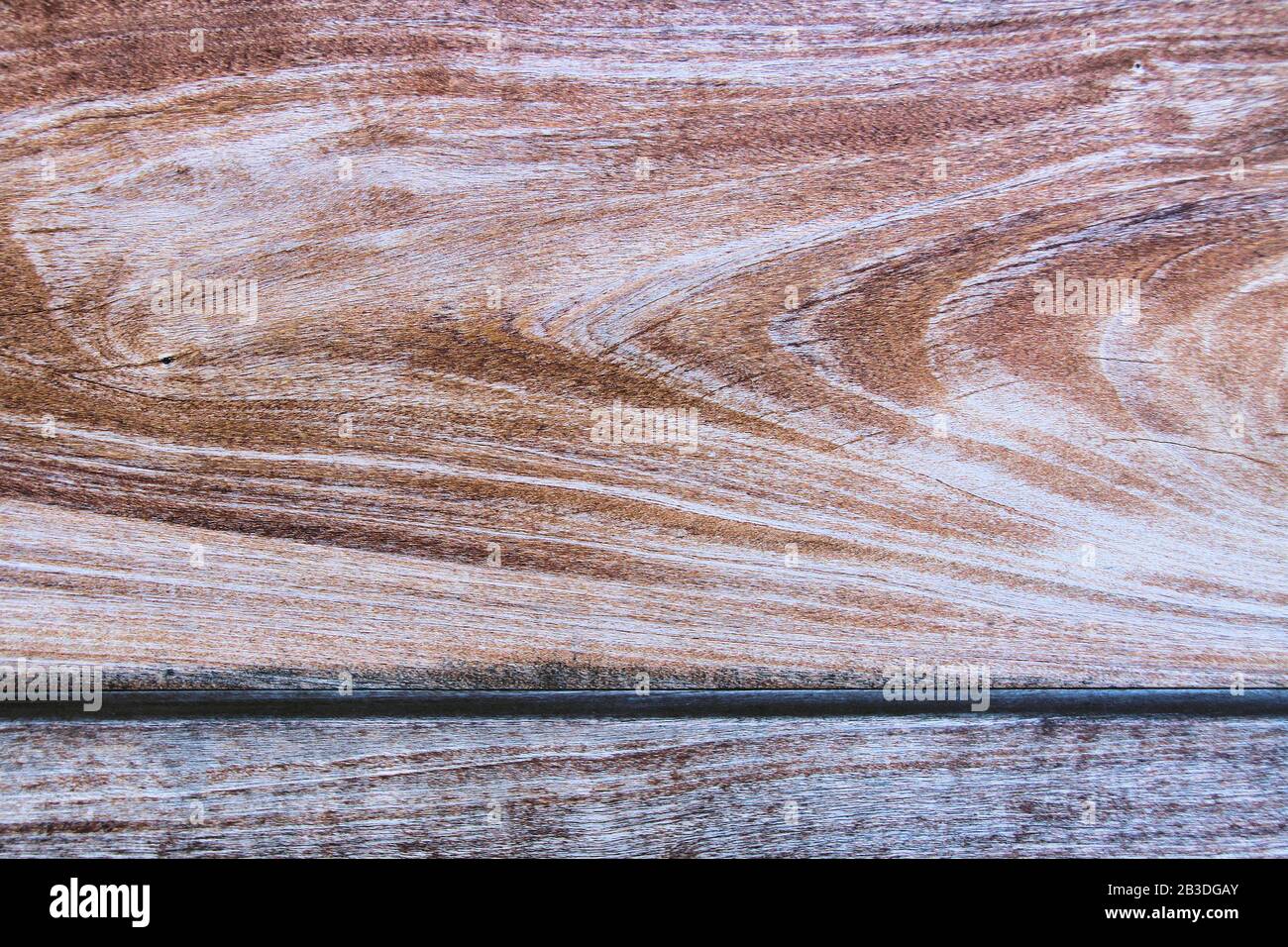 Una tavola di legno tagliata grossolana con dettagli di grano è mostrata in una vista ravvicinata. Foto Stock