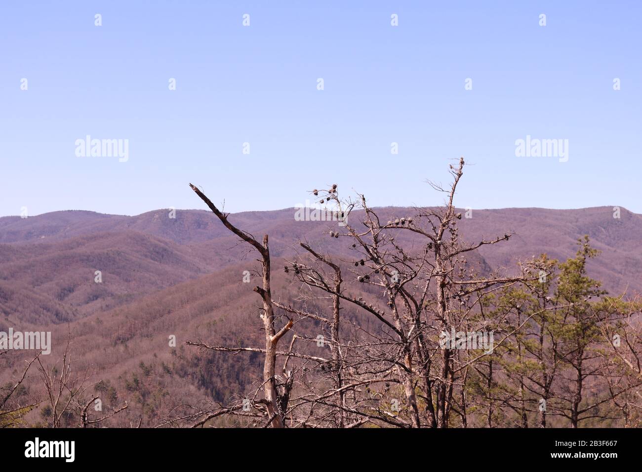 La vista da Stone Mountain state Park, Roaring Gap, North Carolina Foto Stock