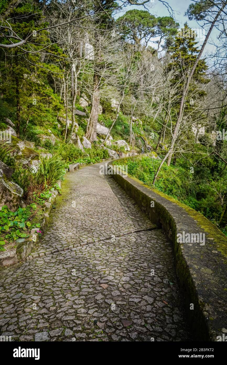 sentiero per il castello moresco a sintra portogallo europa giornata di sole Foto Stock