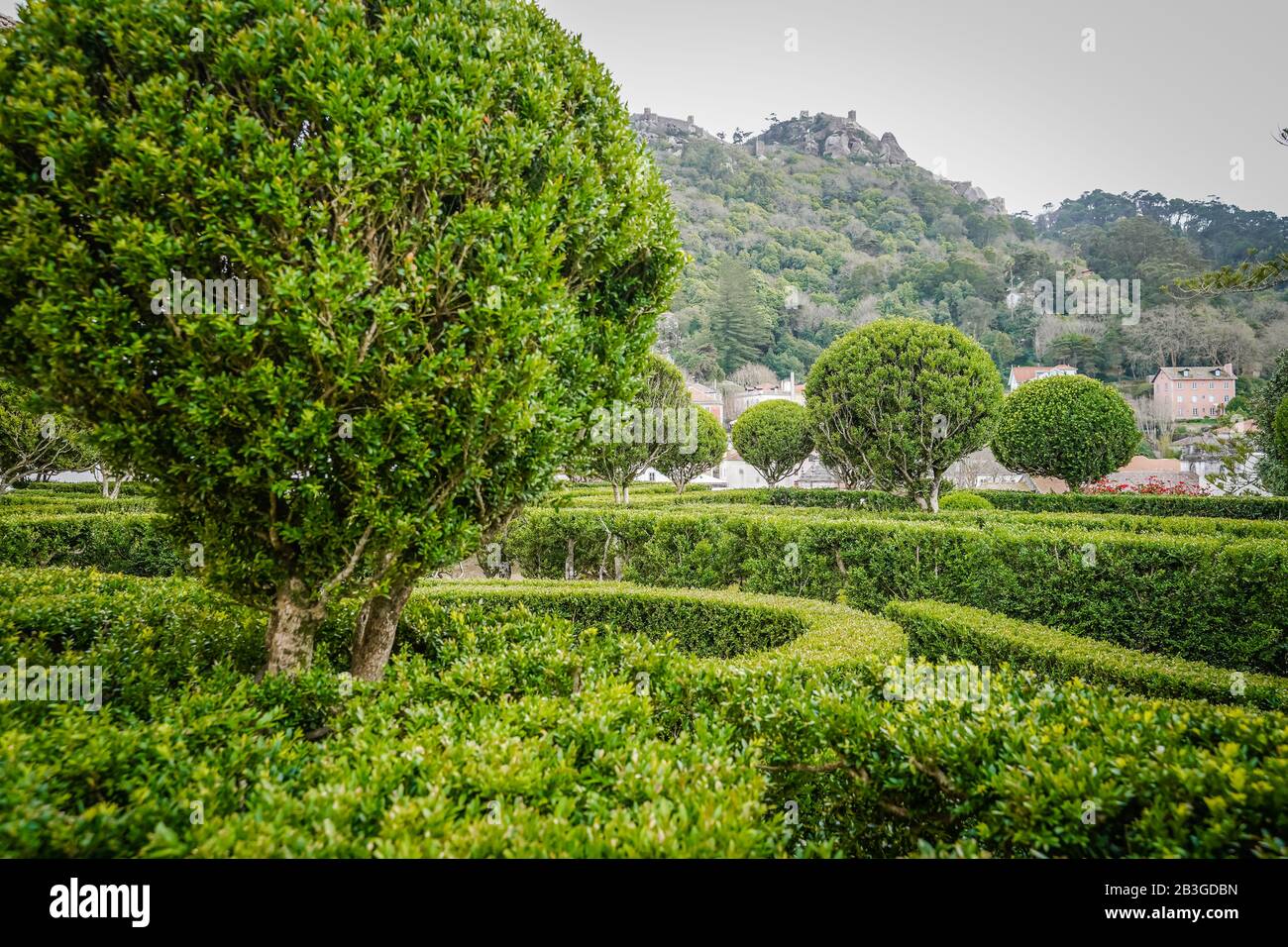 Il Palazzo Nazionale di Sintra, chiamato anche Palazzo di Sintra e Palazzo Comunale, è un ex palazzo reale medievale e attuale musem storico nel Foto Stock