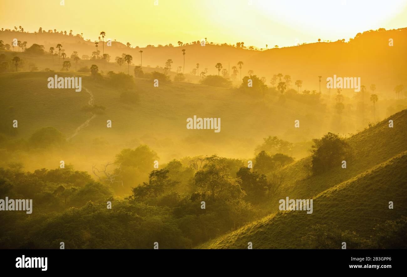 Vista Mattutina Sulle Prime Nebbie Dell'Isola Di Rinca (Parco Nazionale Di Komodo), Rinca, Molucche, Maluku Indonesiano, Isole Delle Spezie, Isole Indonesiane, Archipel Malese Foto Stock