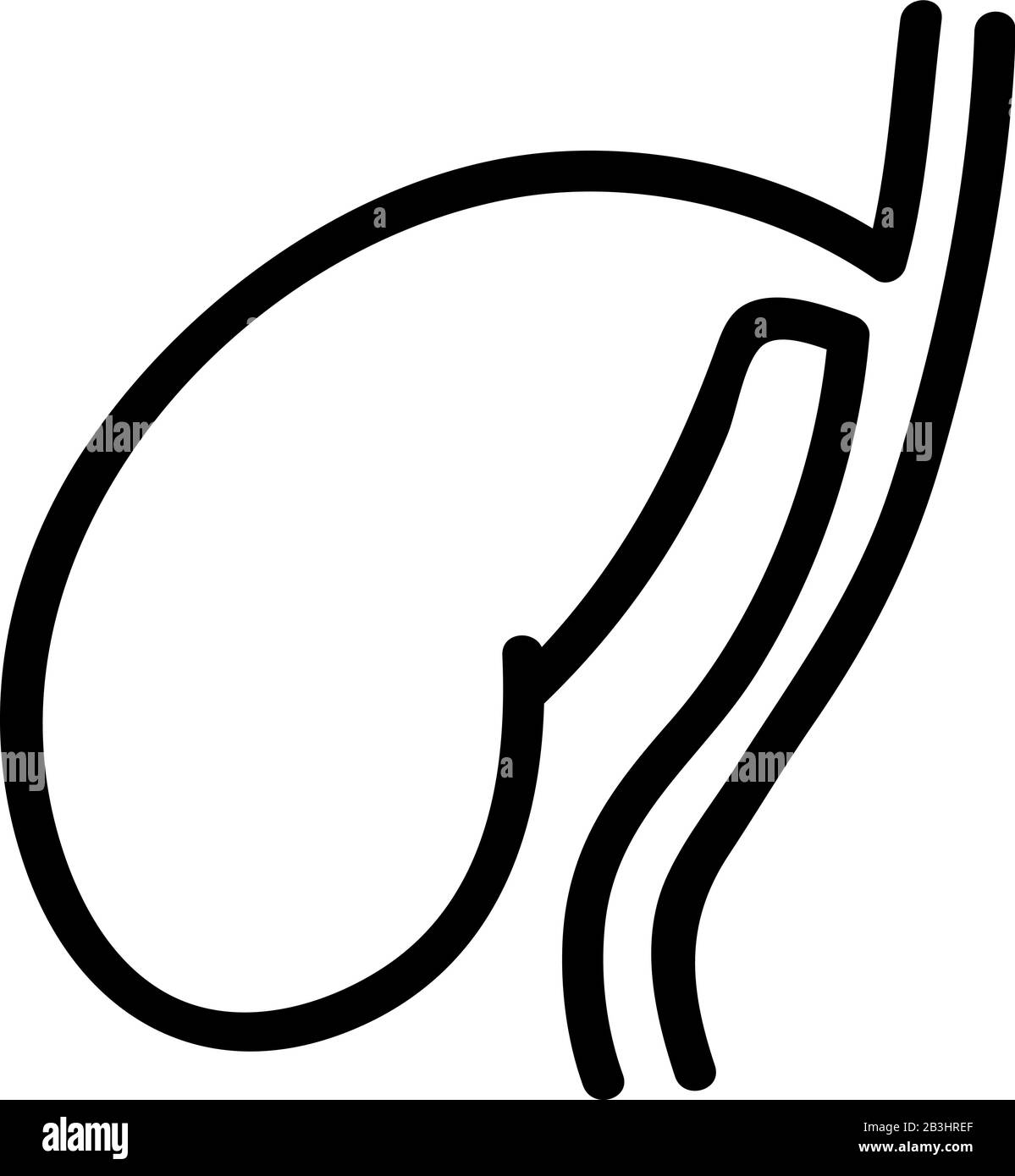 icona milza vettore. Illustrazione del simbolo del contorno isolato Illustrazione Vettoriale