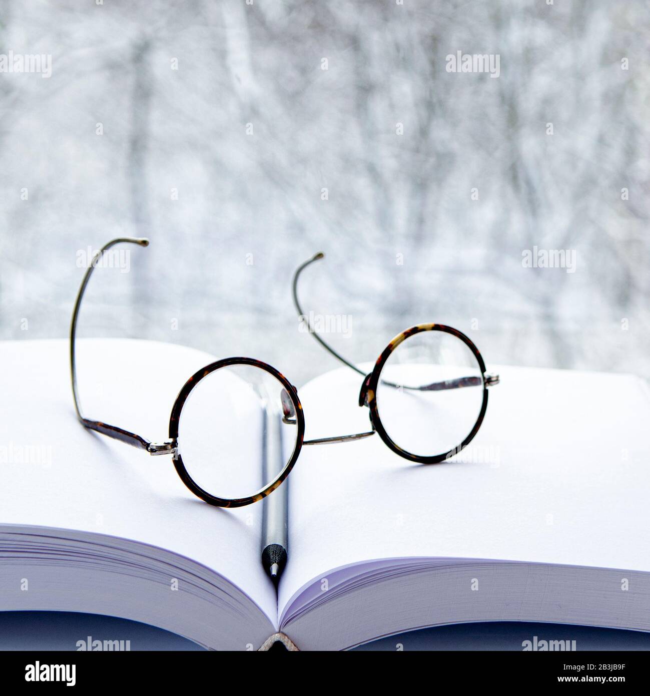 Occhiali rotondi e una matita nera si trovano su un blocco note con pagine bianche sullo sfondo del paesaggio all'esterno della finestra. Parete Di Fondo Foto Stock