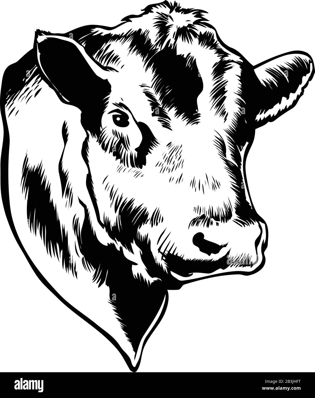 Illustrazione Del Vettore Bull Head Illustrazione Vettoriale
