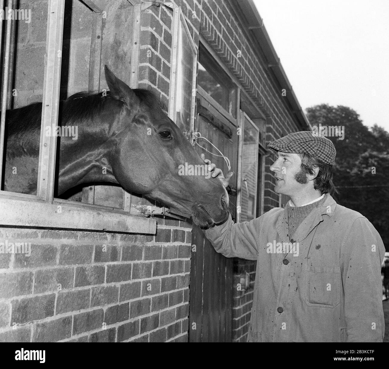 Proprietario, addestratore e allevatore di cavalli, Morston, vincitore del Derby di Arthur Budgett, nella foto alle sue scuderie Whatcombe nel Berkshire. Foto Stock