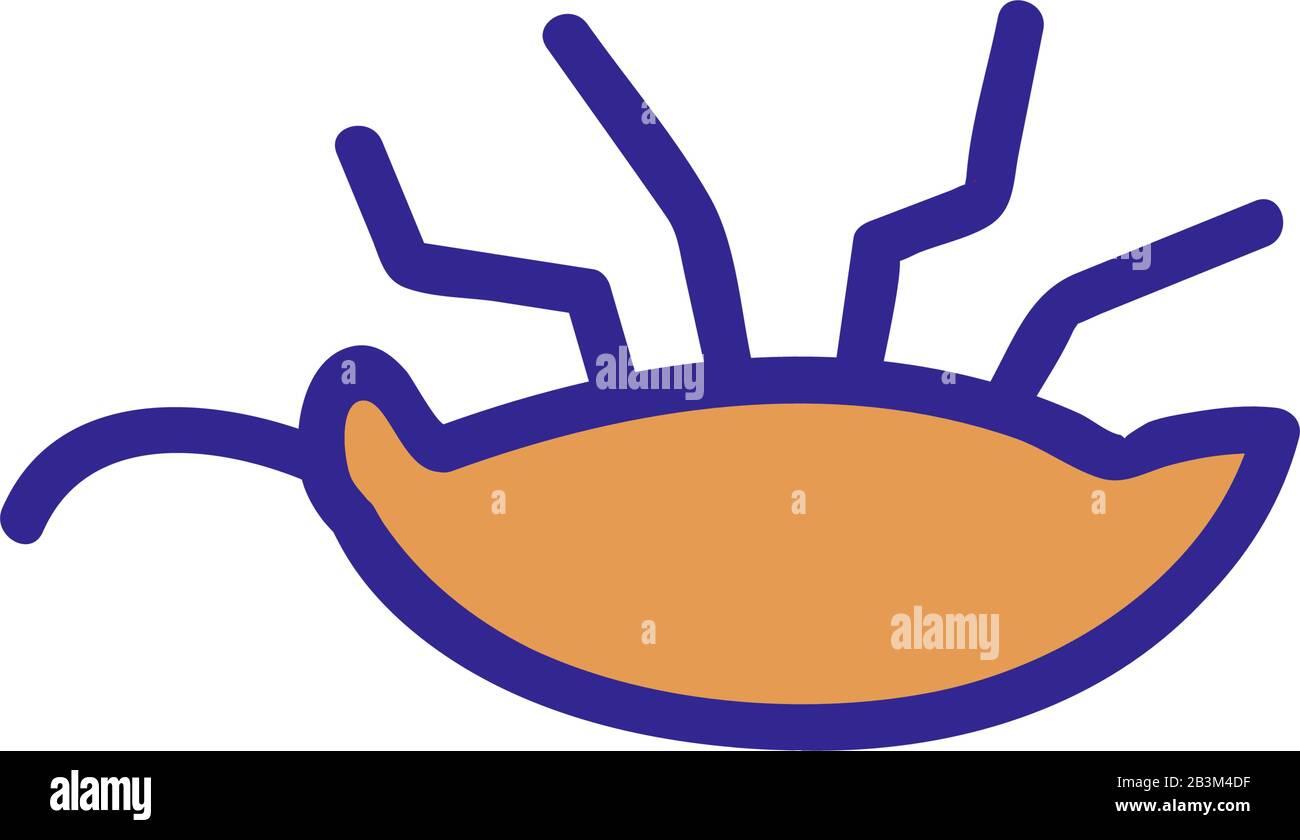 Vettore icona controllo insetti. Illustrazione del simbolo del contorno isolato Illustrazione Vettoriale