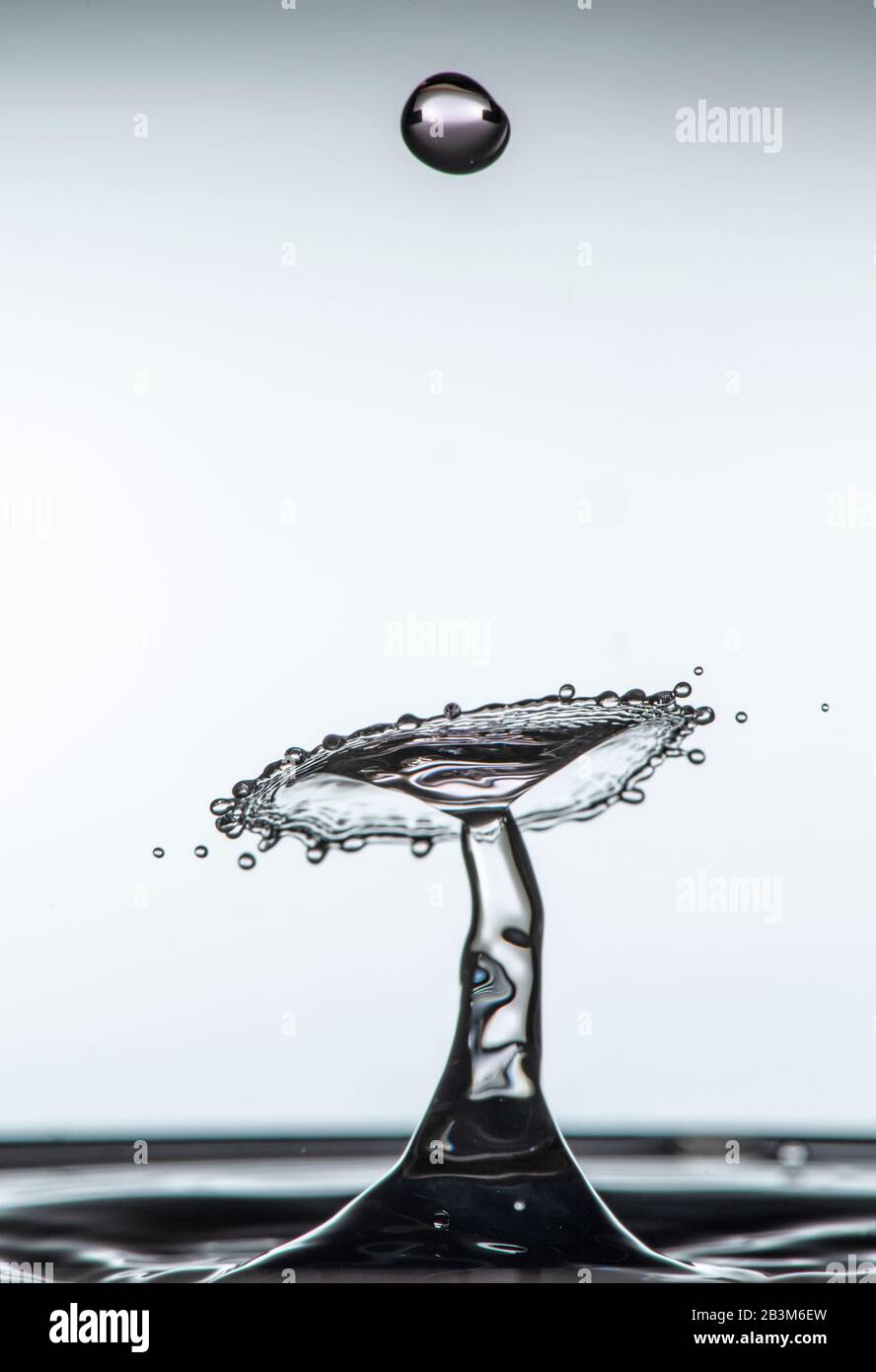 Spruzzi D'Acqua. Flash ad alta velocità. Foto Stock