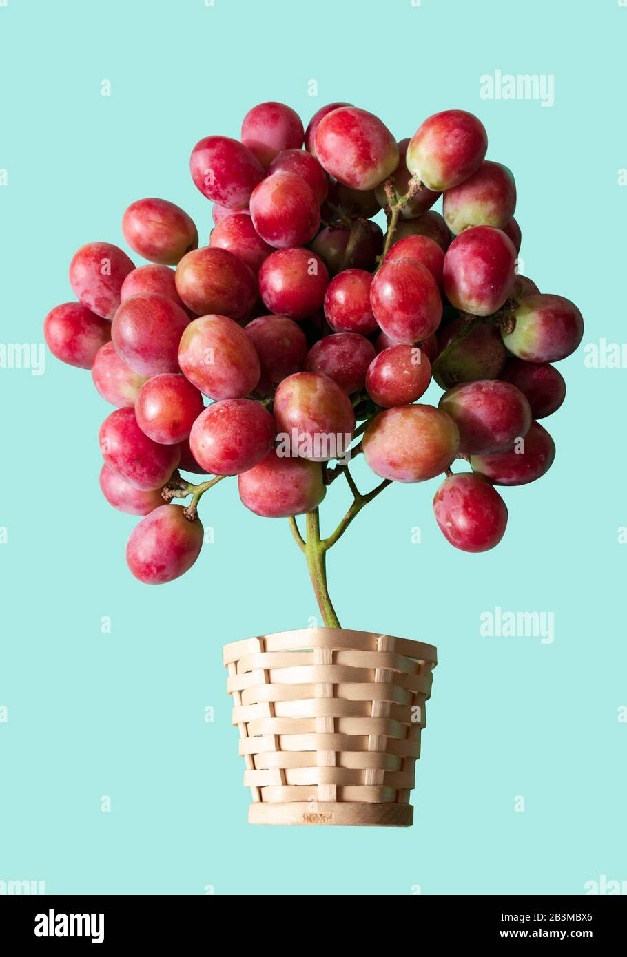 Un grappolo di uva in cesto di legno. Vista dall'alto. Uve come palloncini  d'aria. Collage Foto stock - Alamy