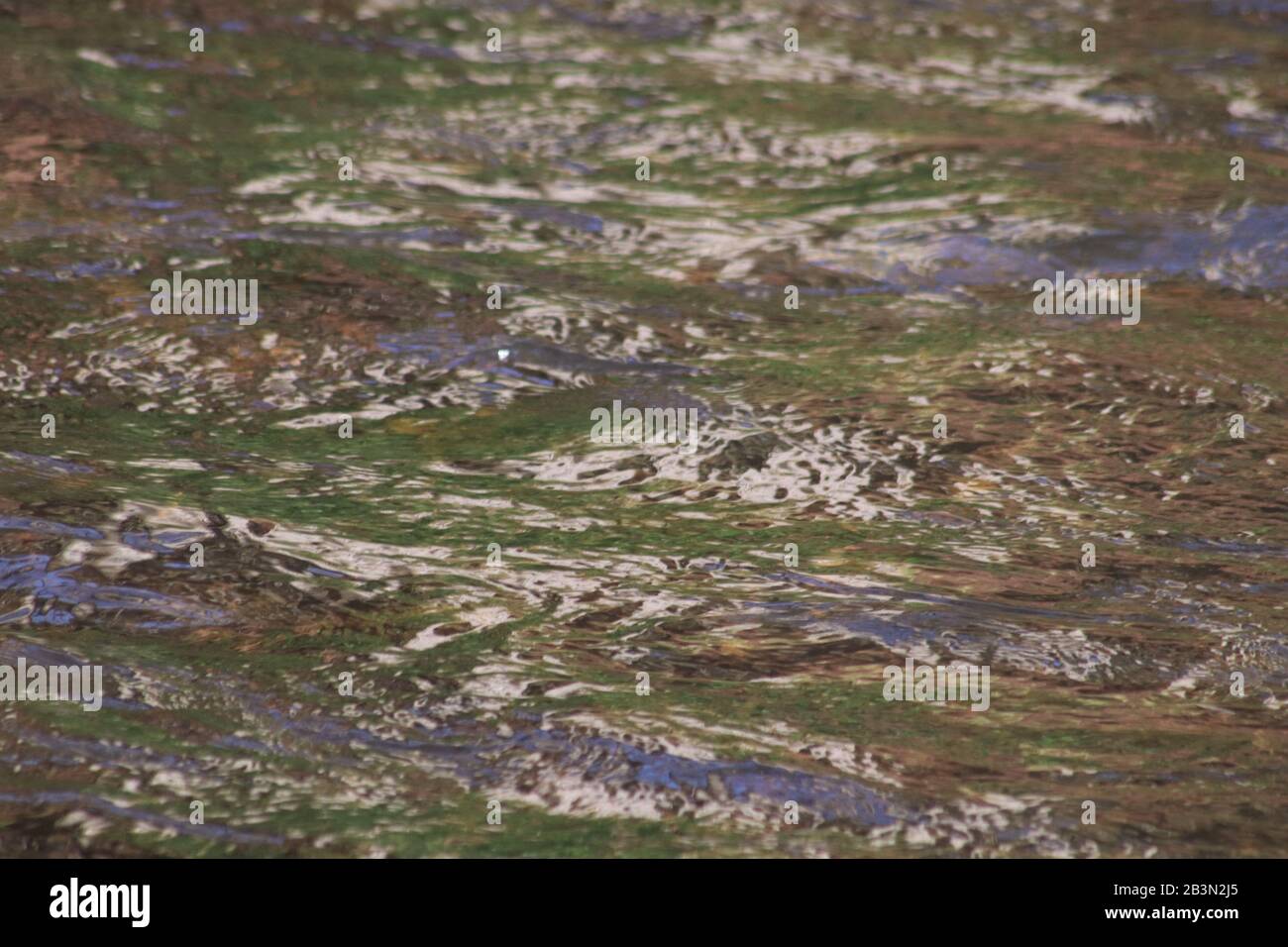Modelli astratti nei riflessi d'acqua del fiume Foto Stock