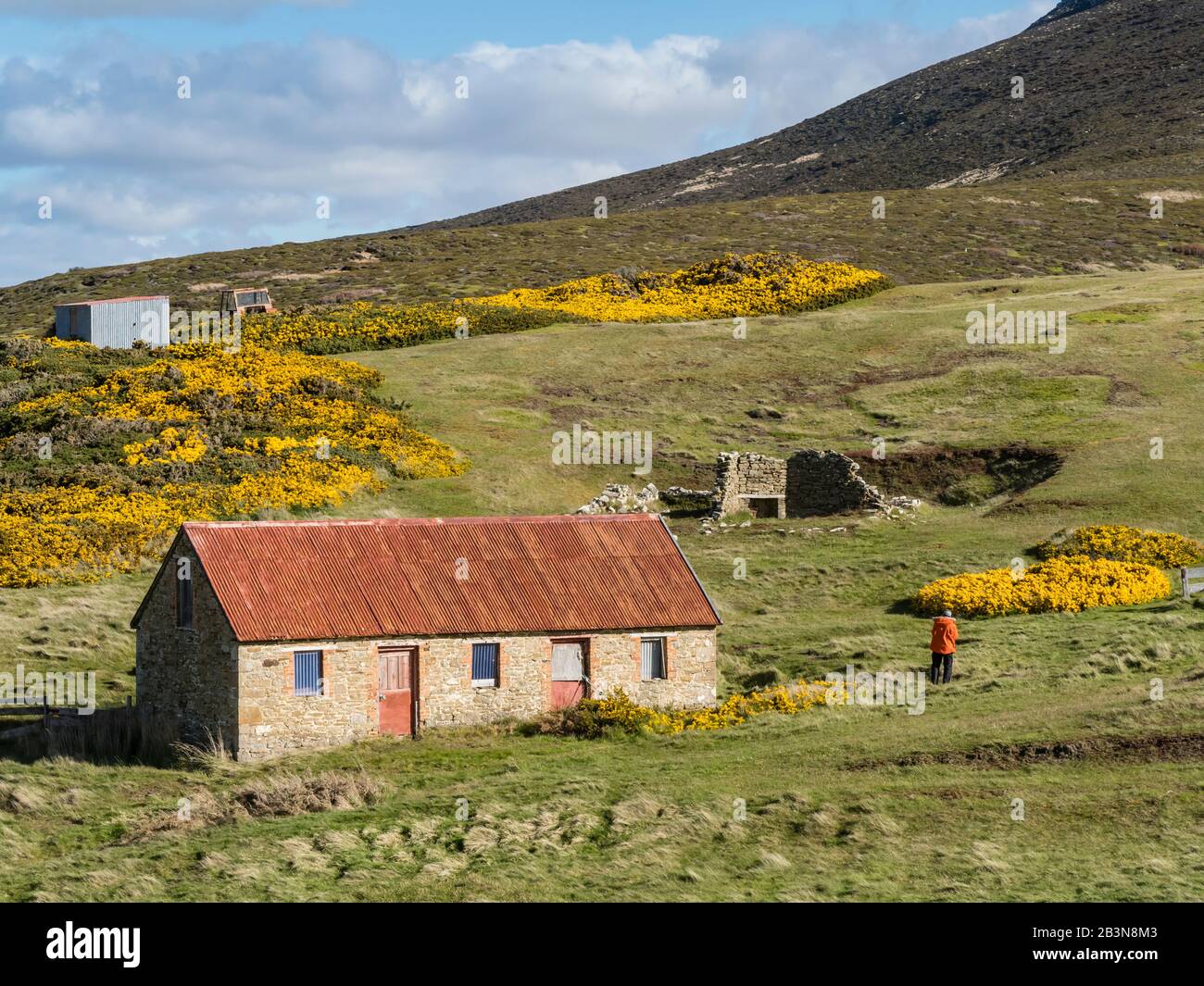 Vista dell'insediamento ovino abbandonato nel 1992 sull'isola di Keppel, Isole Falkland, Sud America Foto Stock