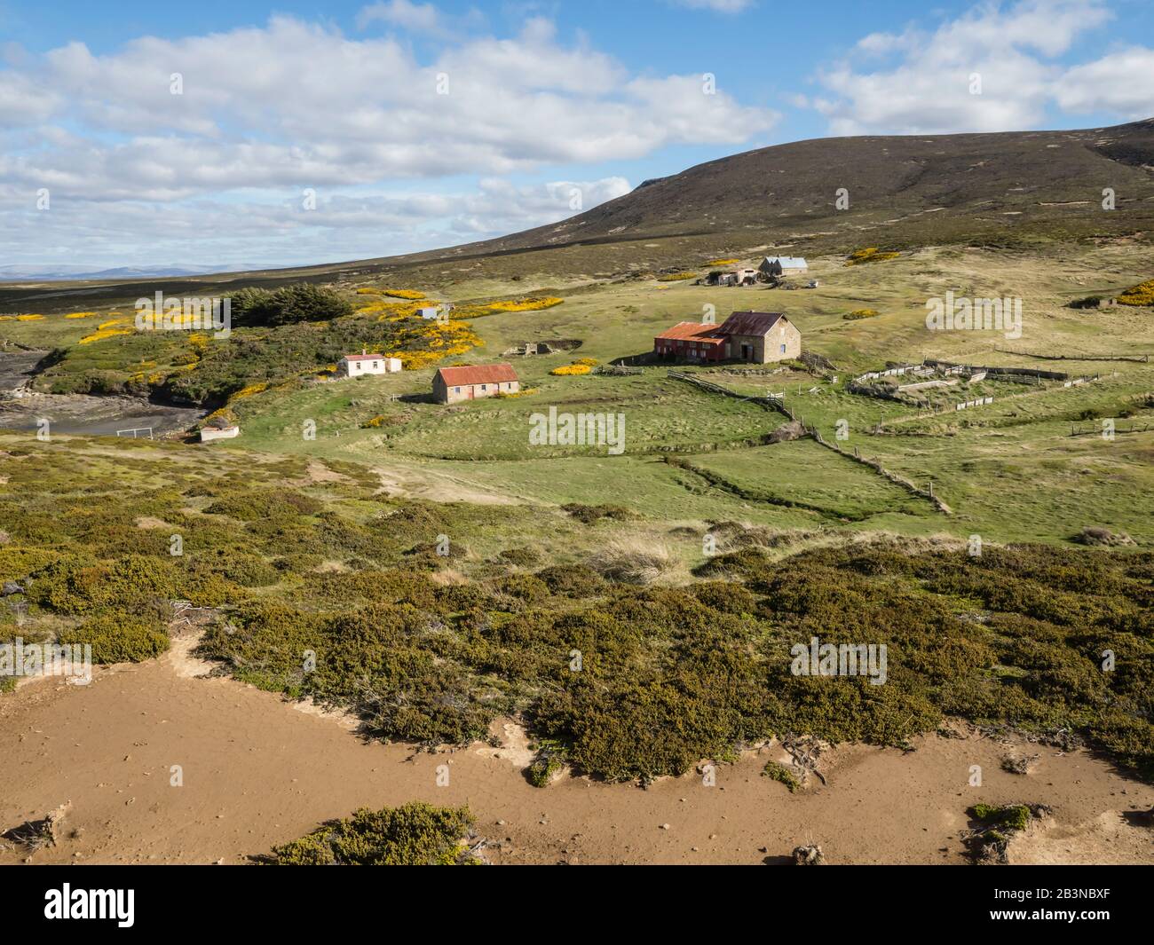 Vista dell'insediamento ovino abbandonato nel 1992 sull'isola di Keppel, Isole Falkland, Sud America Foto Stock