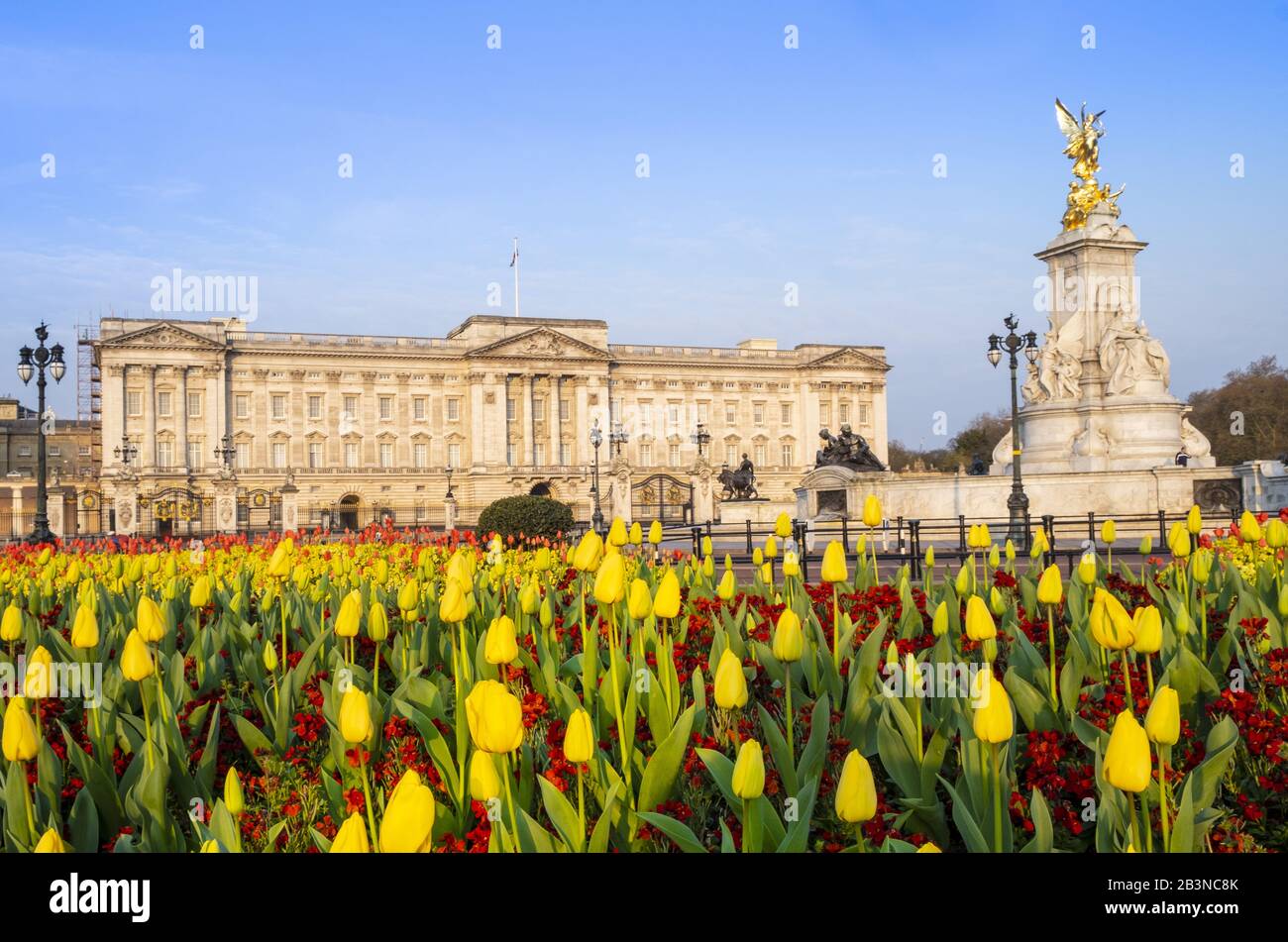La facciata di Buckingham Palace, la residenza ufficiale della Regina a Londra, che mostra fiori primaverili, Londra, Inghilterra, Regno Unito, Europa Foto Stock