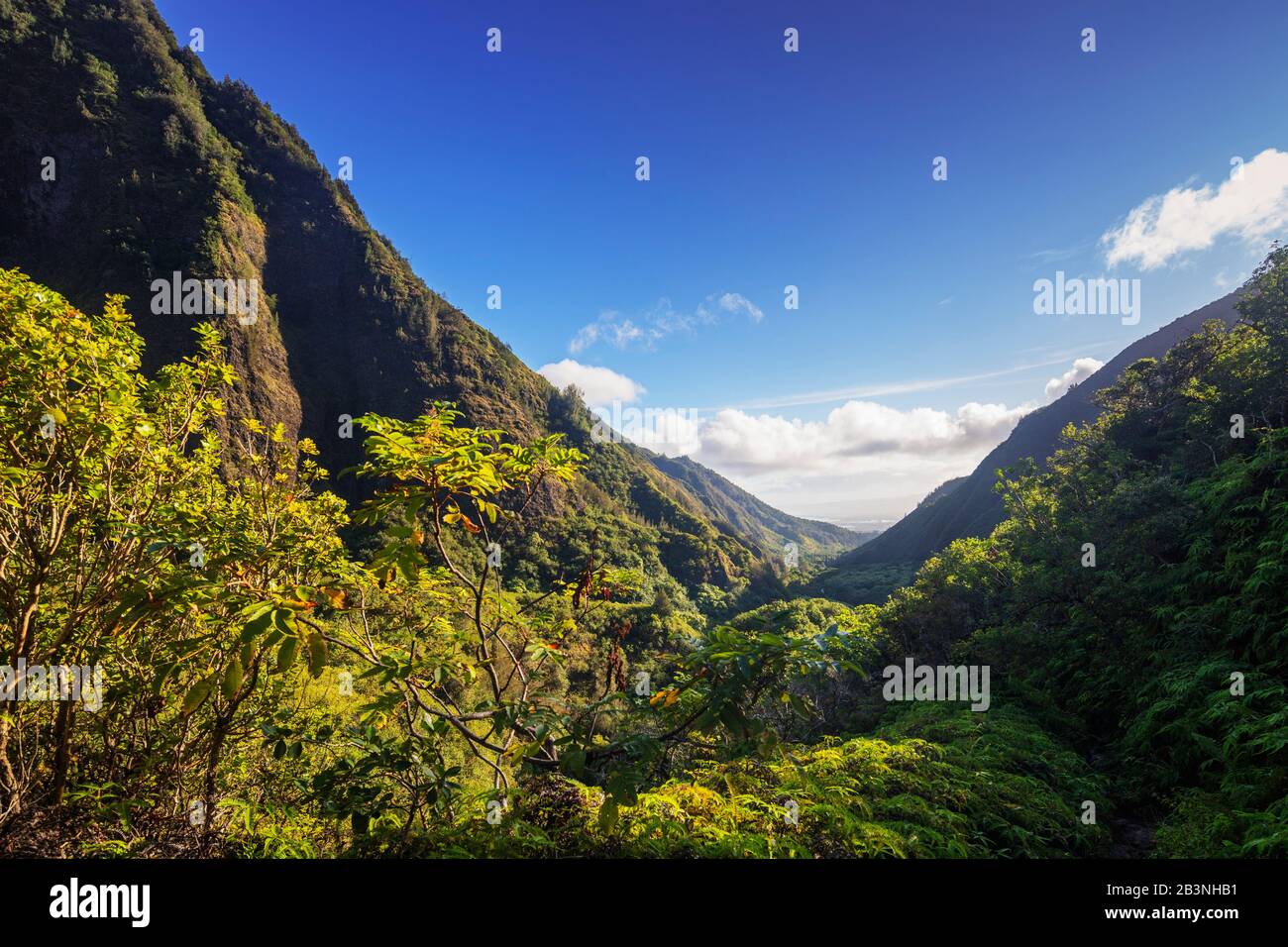 Iao Needle State Park, Maui Island, Hawaii, Stati Uniti D'America, Nord America Foto Stock