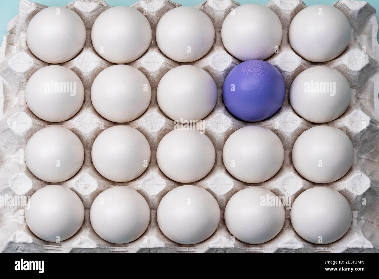 un uovo viola blu tra molte uova bianche. Vista dal riquadro superiore della cella. Differenza di luminosità, concetto. Simbolo di individualità. Concetto Per Eas Foto Stock