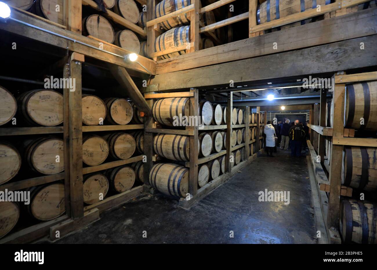 Botti di whisky nella barrelhouse della distilleria Jack Daniel.Lynchburg.Tennessee.USA Foto Stock