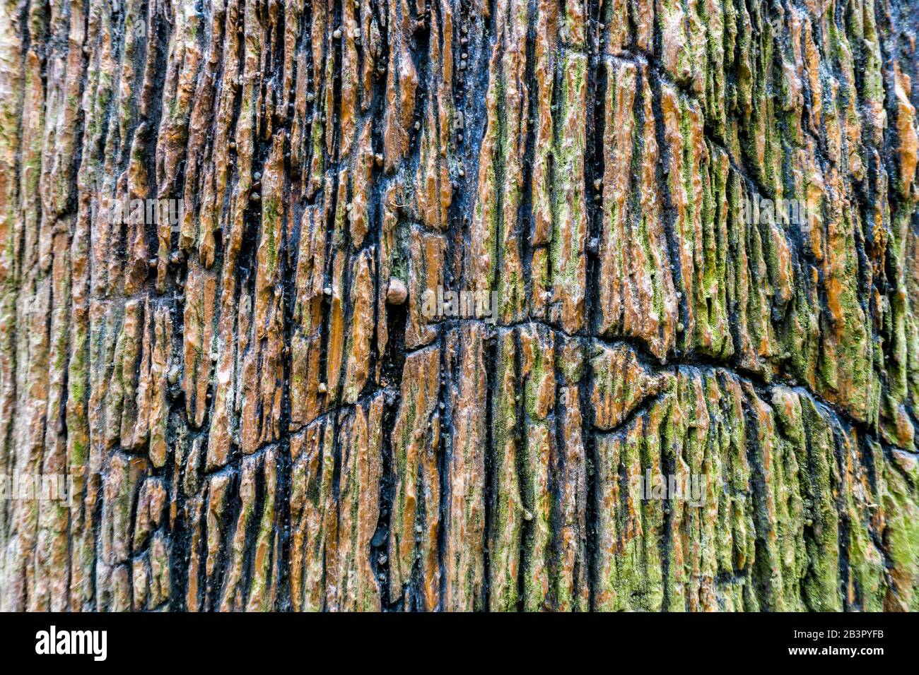 Strato geologico, affioramento di calcestruzzo, strati di roccia, vene di pietra come sfondo o struttura Foto Stock