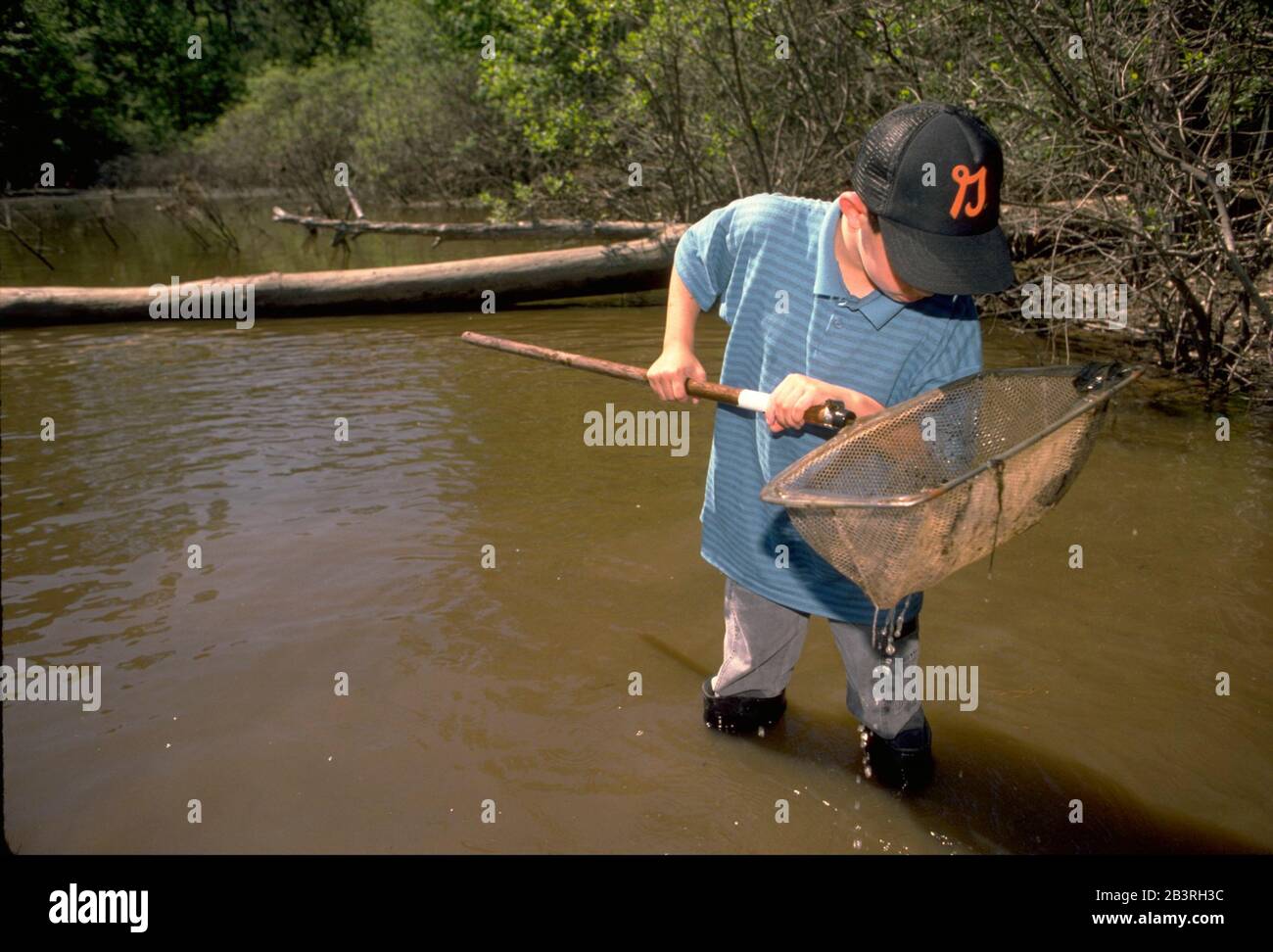 Bandera Texas USA: Lo studente della scuola elementare utilizza la rete di immersione per raccogliere campioni dal laghetto per il progetto scientifico durante il viaggio in classe campo. ©Bob Daemmrich Foto Stock