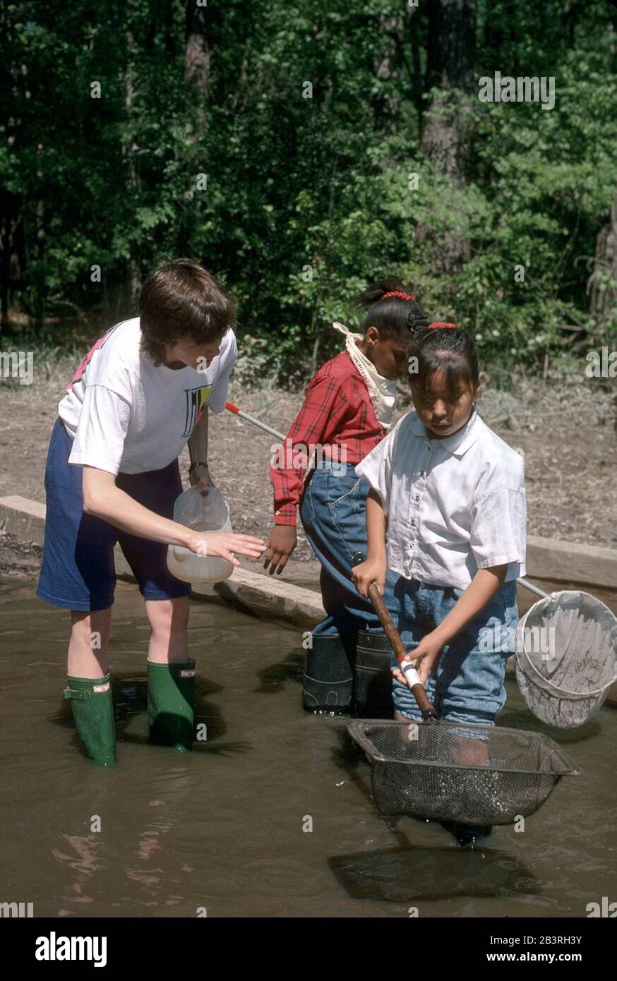 Bandera Texas USA: Gli studenti delle scuole elementari utilizzano la rete di immersione per raccogliere campioni dal laghetto per il progetto scientifico durante il viaggio in classe sul campo. ©Bob Daemmrich Foto Stock