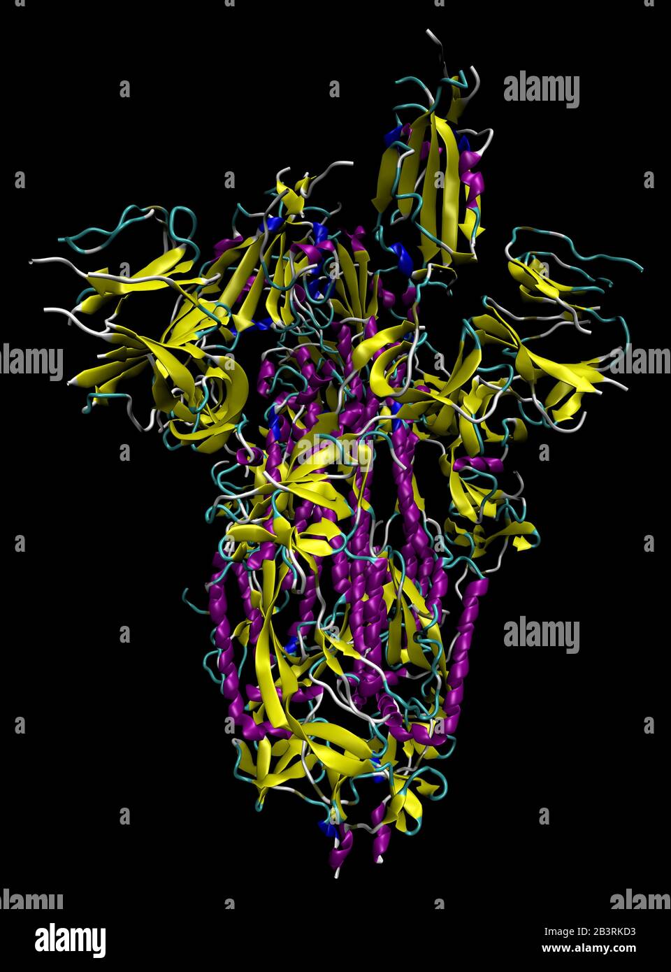 3D struttura del picco di coronavirus 2019-nCoV, un bersaglio per il vaccino contro Covid-19. PDB 6VSB Foto Stock