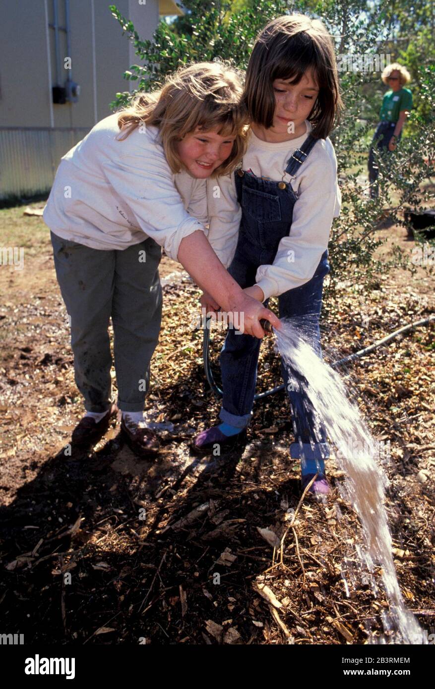 Austin, Texas USA: Gli studenti di terzo grado usano un tubo per innaffiare un piccolo albero appena piantato nei terreni della scuola elementare. ©Bob Daemmrich Foto Stock