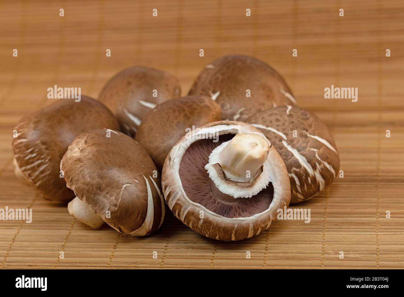 Funghi marroni appena raccolti, champignons Foto Stock