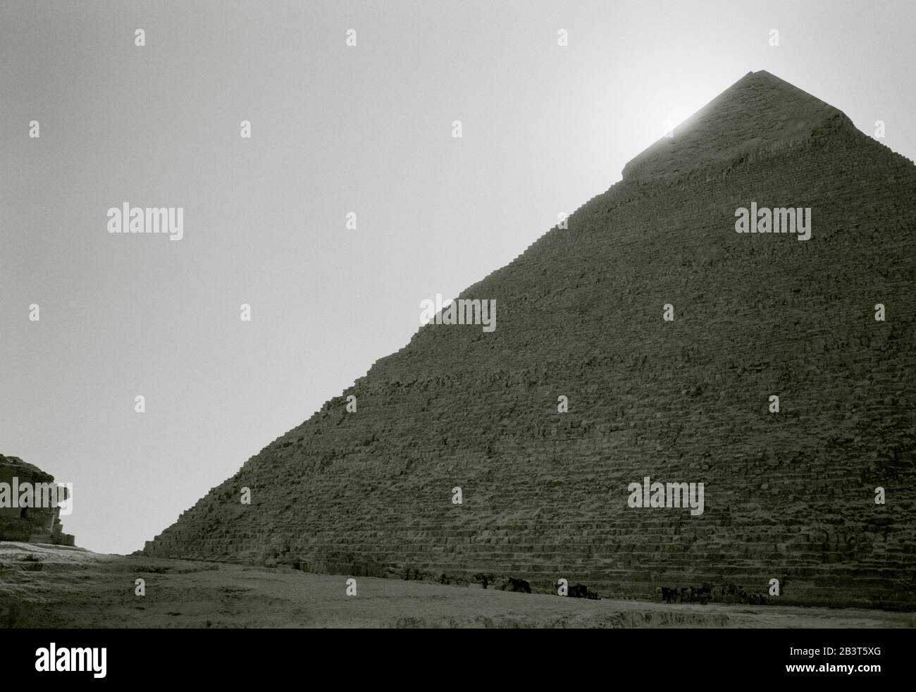 Fotografia di viaggio in bianco e nero - Piramide di Khafre alle Piramidi di Giza Cairo in Egitto in Nord Africa Medio Oriente Foto Stock