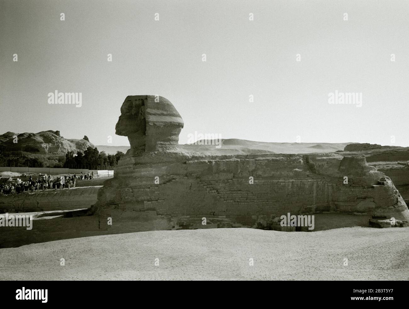 Fotografia di viaggio in bianco e nero - l'antica Sfinge alle Piramidi di Giza vicino al Cairo in Egitto in Nord Africa Medio Oriente. Storia antichità Foto Stock